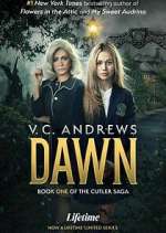 Watch V.C. Andrews' Dawn Moviesjoy