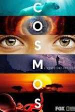 Watch Cosmos A SpaceTime Odyssey Moviesjoy