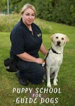 Watch Puppy School for Guide Dogs Moviesjoy