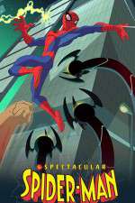Watch The Spectacular Spider-Man Moviesjoy