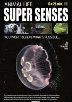 Watch Super Senses Moviesjoy