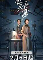 Watch Lies Never Lie Moviesjoy