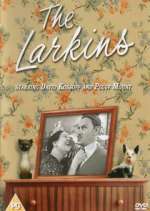 Watch The Larkins Moviesjoy