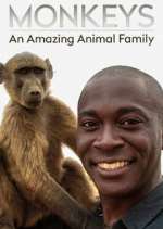 Watch Monkeys: An Amazing Animal Family Moviesjoy