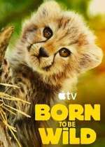 Watch Born to Be Wild Moviesjoy