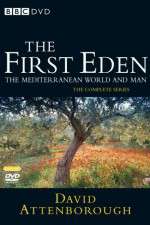 Watch The First Eden Moviesjoy