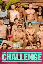 the challenge season 41 episode 15 tv poster