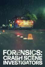 Watch Forensics: Crash Scene Investigators Moviesjoy