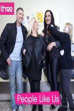 Watch People Like Us Moviesjoy