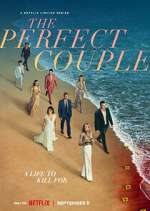 Watch The Perfect Couple Moviesjoy