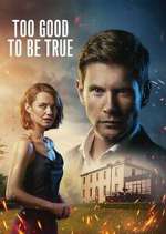 Watch Too Good to Be True Moviesjoy