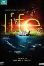 Watch Life Moviesjoy