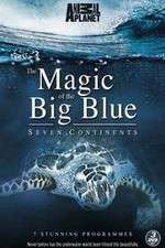 Watch The Magic of the Big Blue Moviesjoy