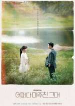 Watch Met You By Chance Moviesjoy