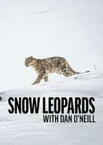 Watch Snow Leopards with Dan O\'Neill Moviesjoy