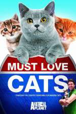 Watch Must Love Cats Moviesjoy