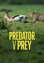 Watch Predator v Prey Moviesjoy