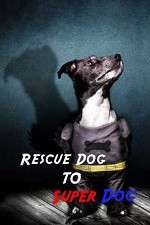 Watch Rescue Dog to Super Dog Moviesjoy