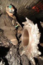 Watch Coal Moviesjoy