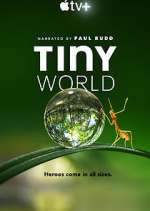 Watch Tiny World Moviesjoy