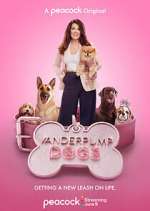 Watch Vanderpump Dogs Moviesjoy