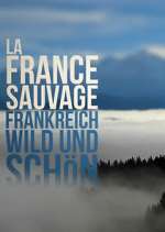 Watch Wild France Moviesjoy