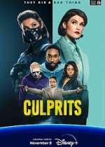 Watch Culprits Moviesjoy