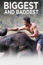 Watch Biggest and Baddest Moviesjoy