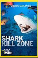 Watch Shark Kill Zone Moviesjoy
