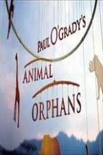 Watch Paul O'Grady's Animal Orphans Moviesjoy