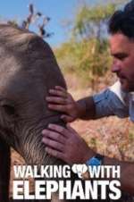 Watch Walking with Elephants Moviesjoy