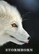 Watch Stormborn Moviesjoy