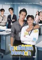 Watch My Stubborn Moviesjoy