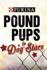 Watch Purina Pound Pups To Dog Stars Moviesjoy