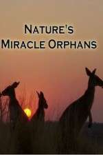 Watch Nature's Miracle Orphans Moviesjoy