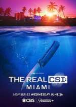 Watch The Real CSI: Miami Moviesjoy