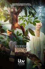 Watch Judi Dench\'s Wild Borneo Adventure Moviesjoy