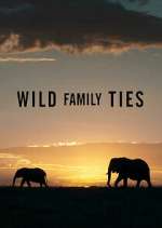 Watch Wild Family Ties Moviesjoy