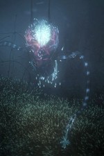 Watch Into the Universe with Stephen Hawking Moviesjoy