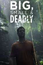 Watch Big, Small & Deadly Moviesjoy