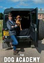 Watch Bad Dog Academy Moviesjoy