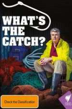 Watch What's The Catch With Matthew Evans Moviesjoy