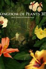 Watch Kingdom of Plants 3D Moviesjoy