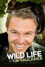 Watch The Wild Life of Tim Faulkner Moviesjoy