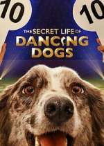 Watch The Secret Life of Dancing Dogs Moviesjoy