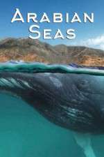 Watch Arabian Seas Moviesjoy