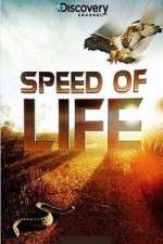 Watch Discovery Channel Speed Of Life Moviesjoy