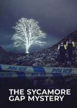 Watch The Sycamore Gap Tree Mystery Moviesjoy