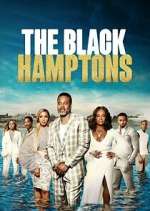 Watch Carl Weber's The Black Hamptons Moviesjoy