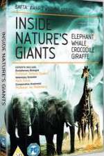 Watch Inside Nature's Giants Moviesjoy